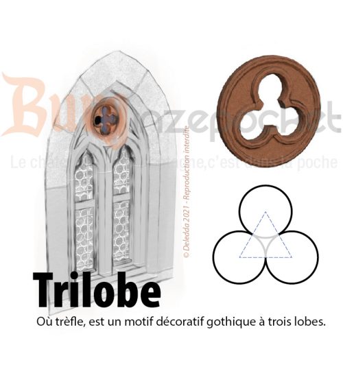 Glossaire_Trilobe